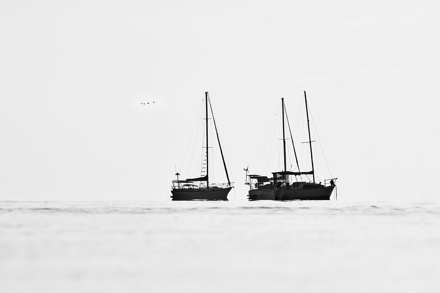 Dreamboats - Sailboats on Fraser Coast, Queensland